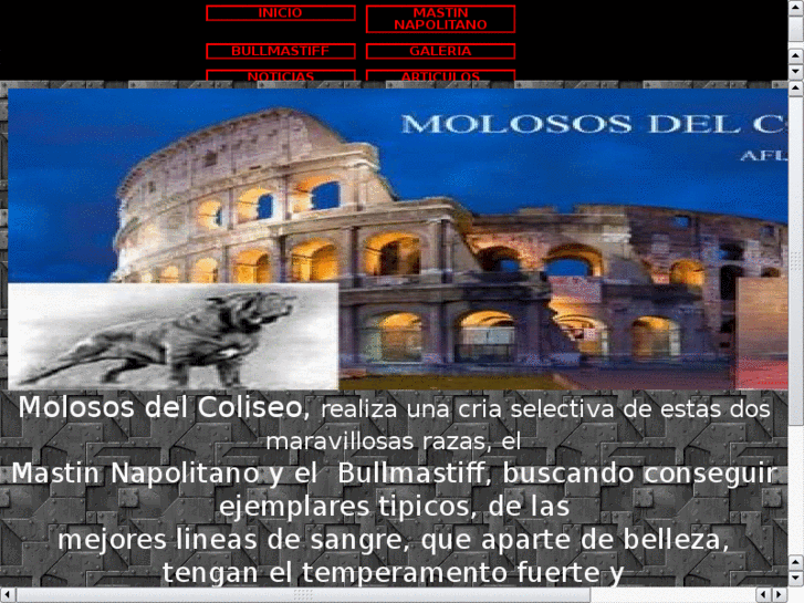 www.molososdelcoliseo.com