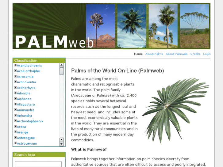 www.palmweb.org