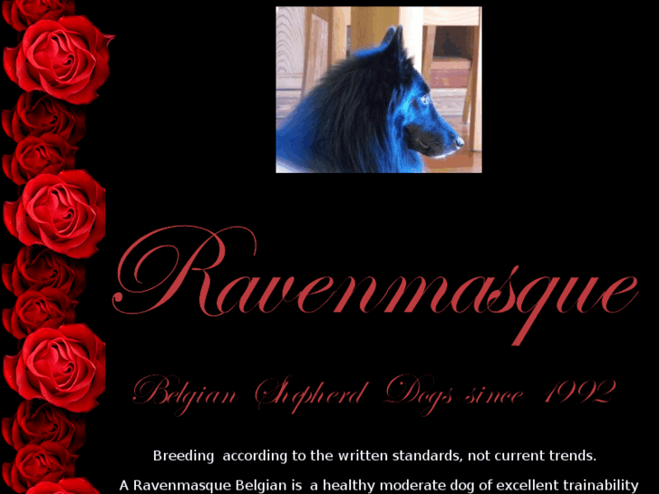 www.ravenmasque.com