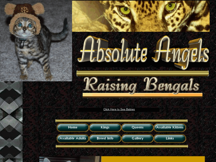 www.absolute-angels.net
