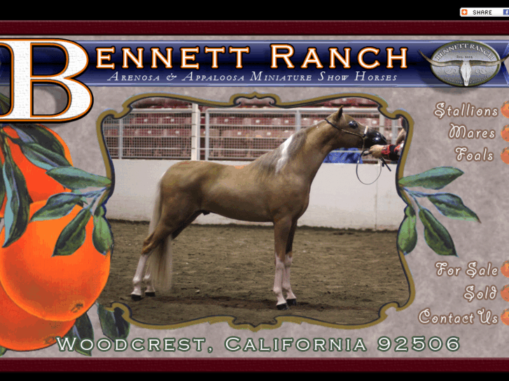 www.bennettranch.net