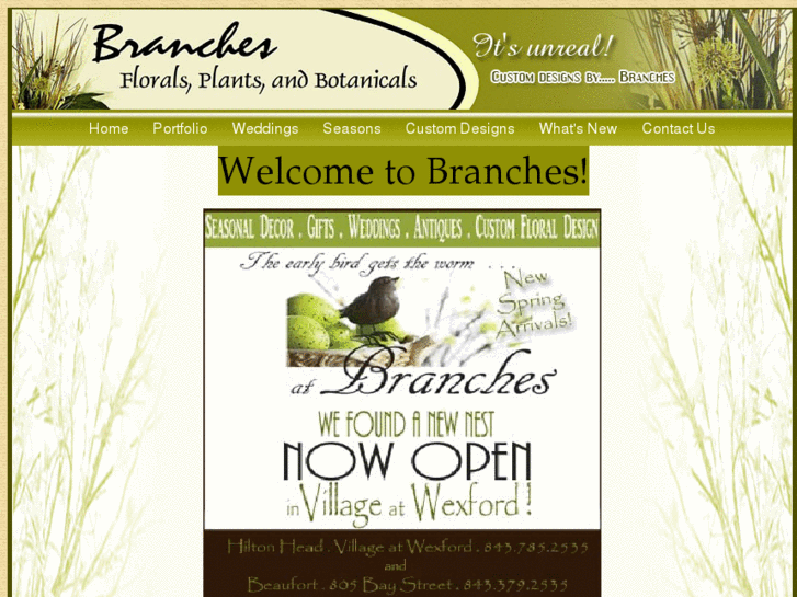 www.branchesdesigns.com