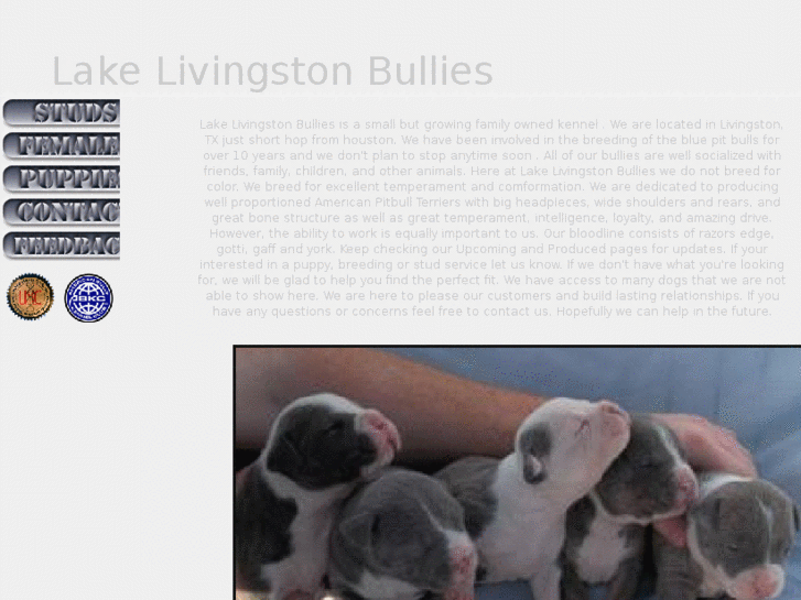 www.lakelivingstonbullies.com