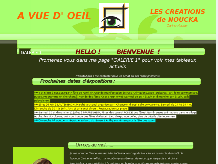 www.avuedoeil.net