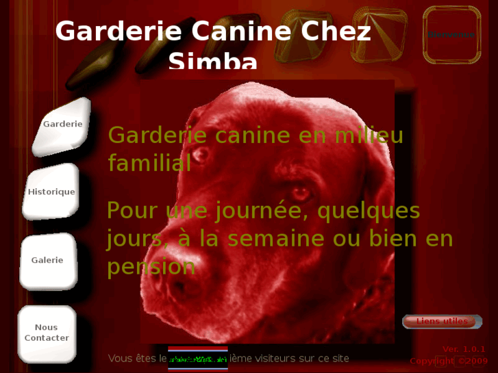 www.garderiecaninesimba.com