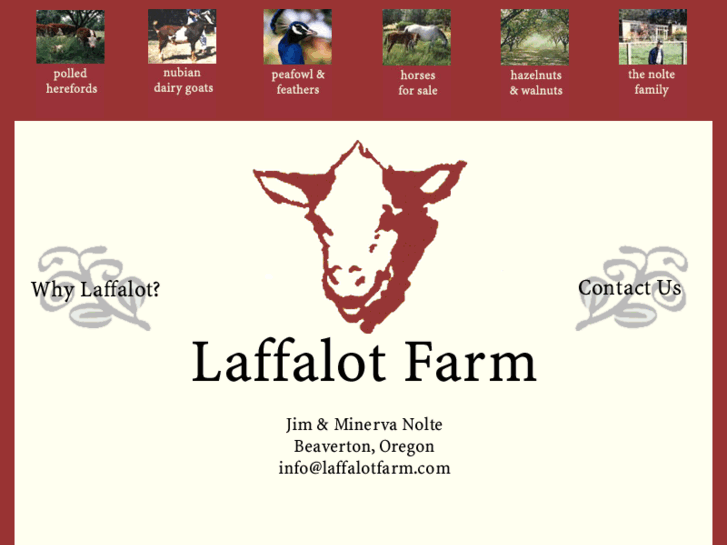 www.laffalotfarm.com