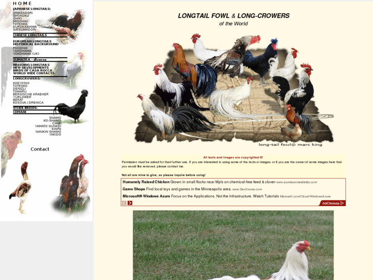 www.longtail-fowl.com