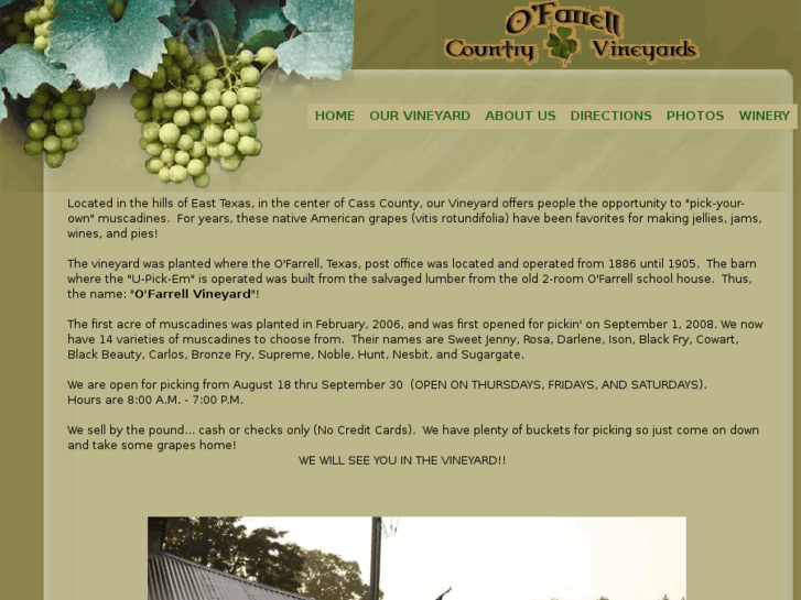 www.ofarrellvineyard.com