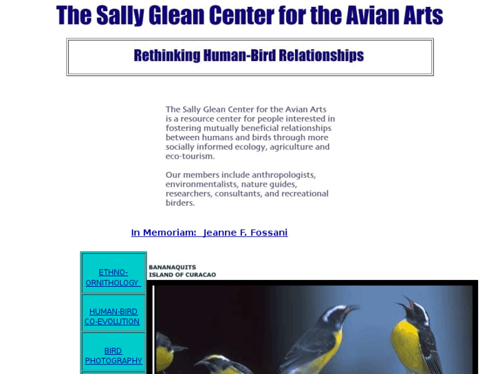 www.sallyglean.org