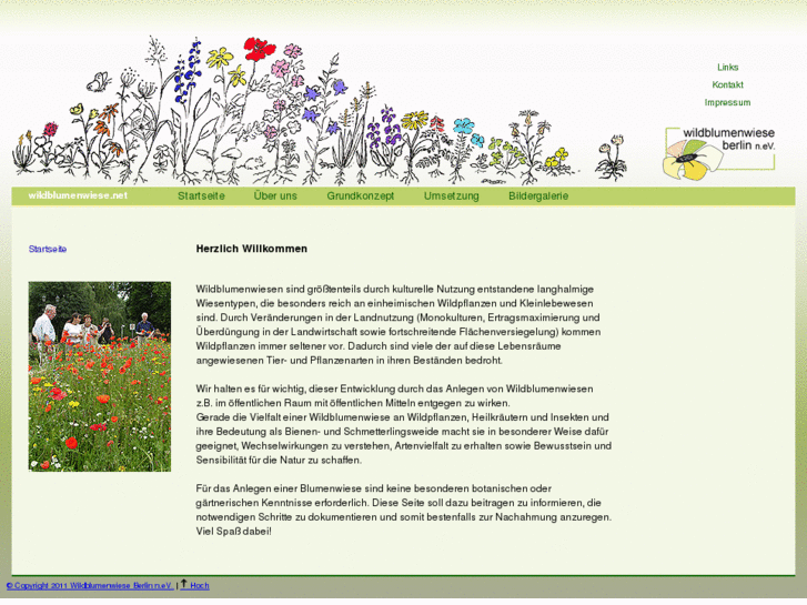 www.wildblumenwiese.net