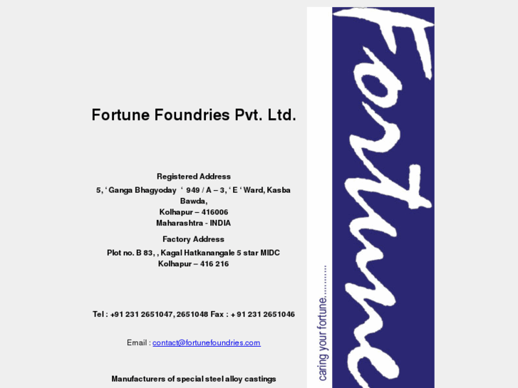 www.fortunefoundries.com