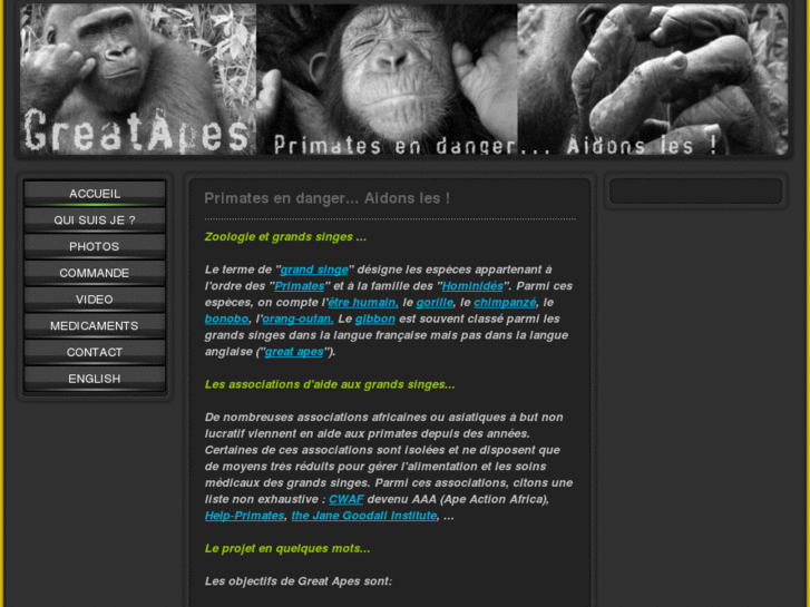 www.help-greatapes.com