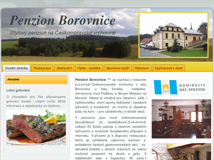 www.penzion-borovnice.cz