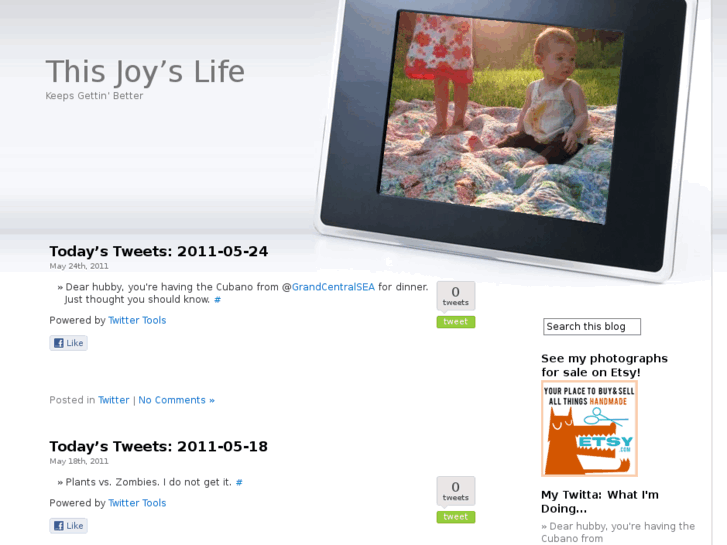 www.thisjoyslife.com