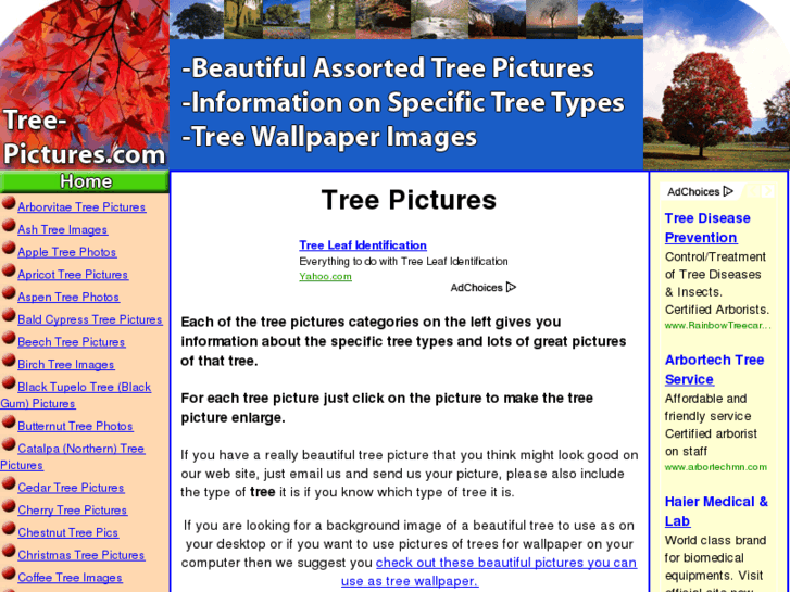 www.tree-pictures.com