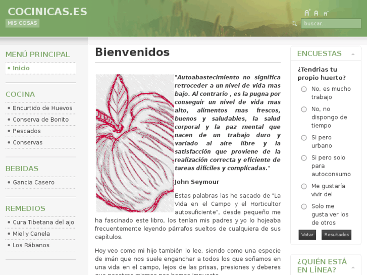 www.cocinicas.es