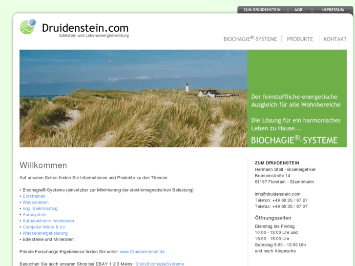 www.druidenstein.com