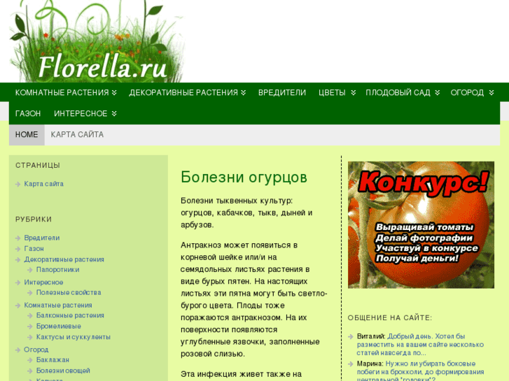 www.florella.ru