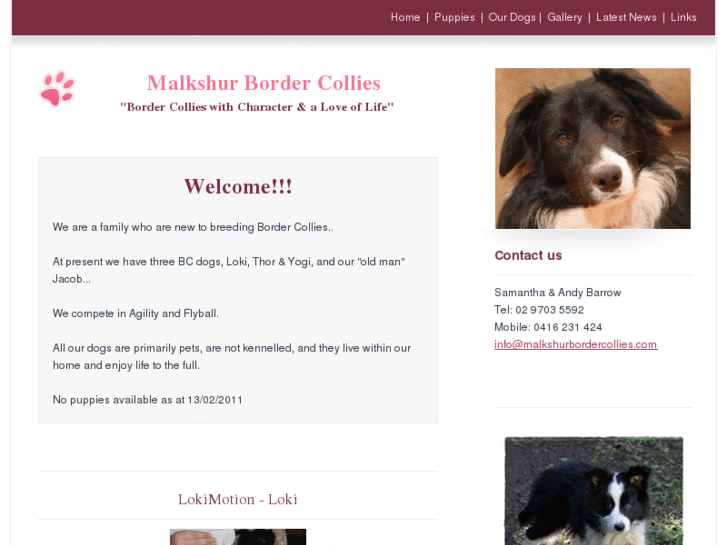 www.malkshurbordercollies.com