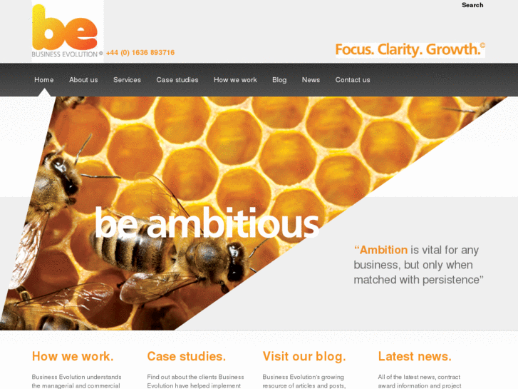 www.businessevolution.co