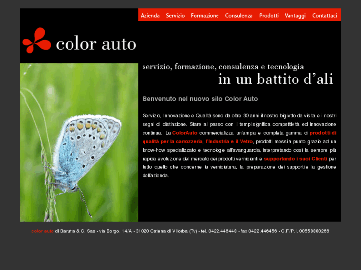 www.colorauto.com