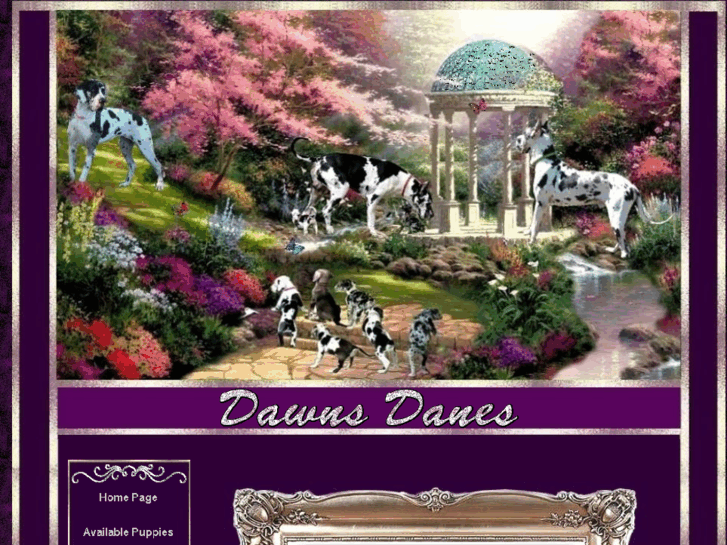 www.dawnsdanes.com