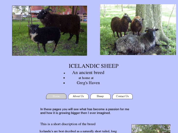 www.gregs-icelandicsheep.com