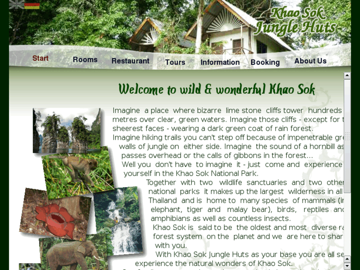 www.khao-sok-junglehuts.com