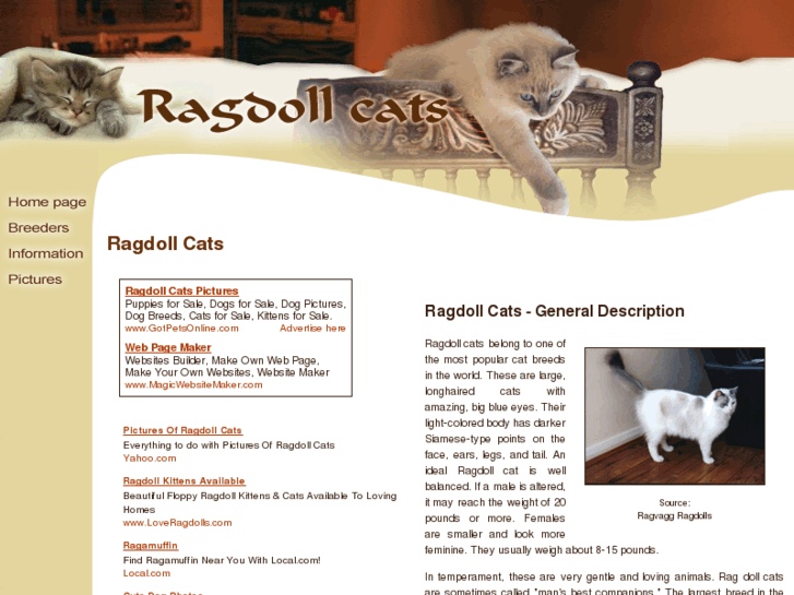 www.ragdoll-cats.org