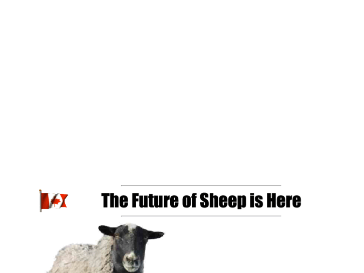 www.romanovsheep.com