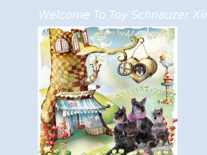 www.toyschnauzerxing.com