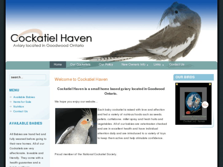 www.cockatielhaven.com