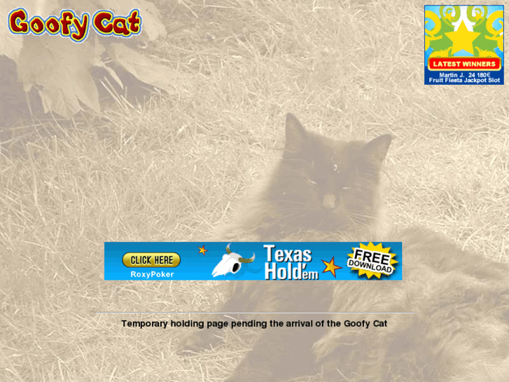 www.goofycat.com