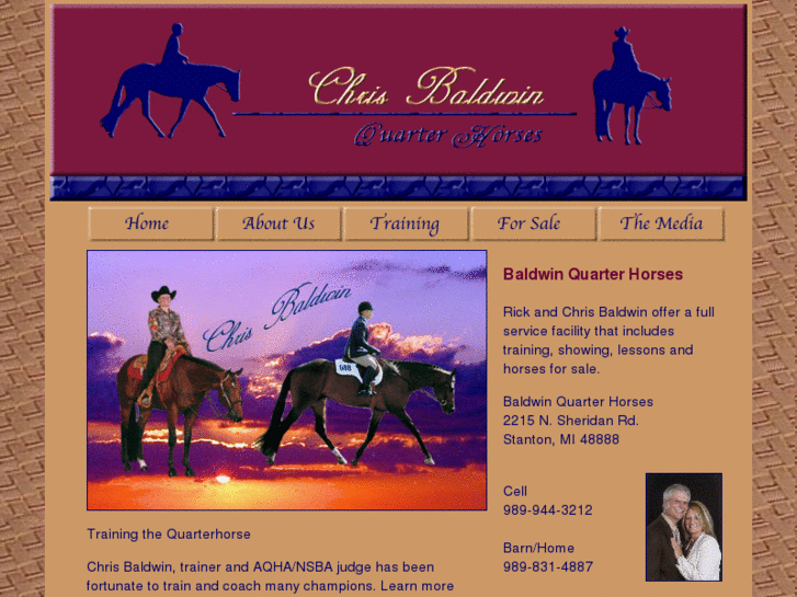 www.baldwinquarterhorses.net