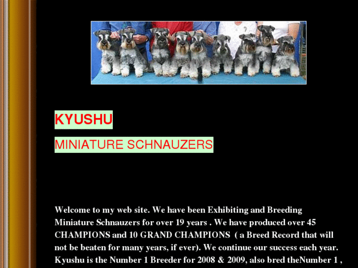 www.kyushuminiatureschnauzers.com