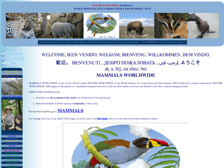 www.mammals-worldwide.info