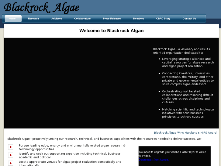 www.blackrockalgae.com