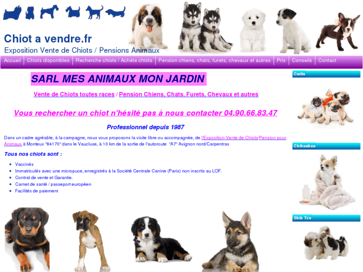 www.chiots-a-vendre.net