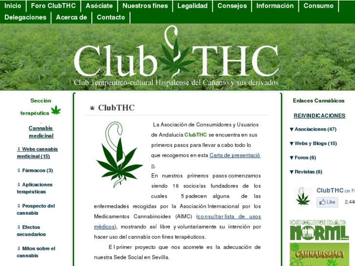 www.clubthc.net