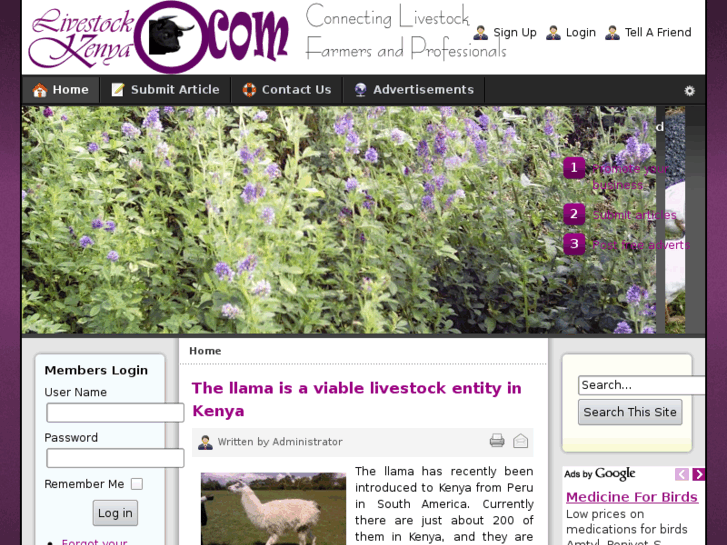 www.livestockkenya.com