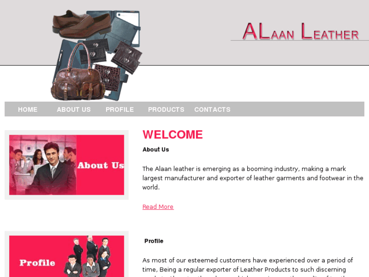 www.alaanleather.com