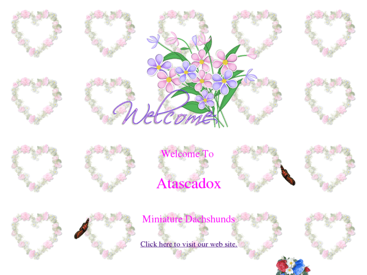 www.atascadox.com