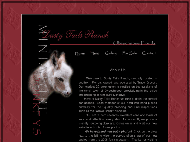 www.dustytailsranch.com