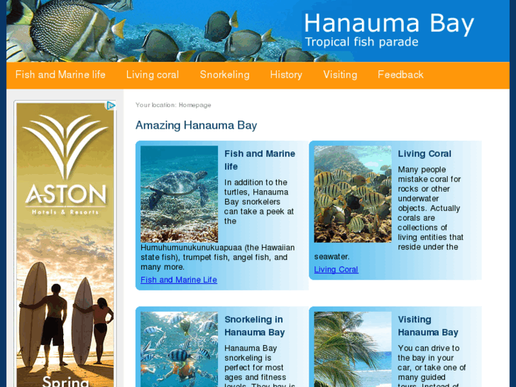 www.hanauma-bay-hawaii.com
