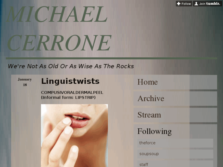 www.michaelcerrone.com