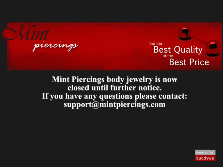 www.mintpiercings.com