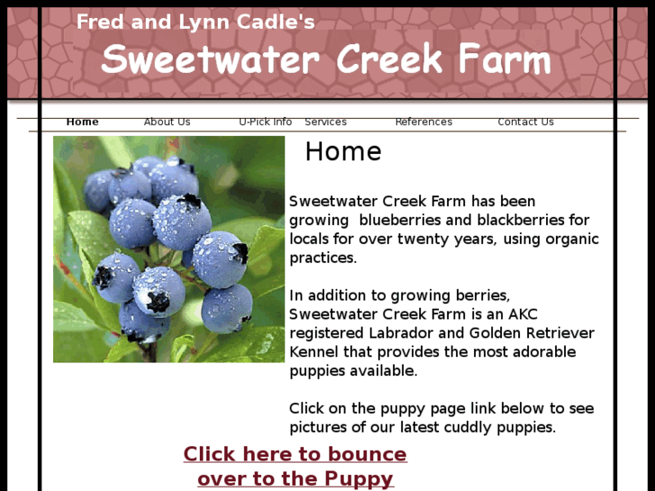 www.sweetwatercreekfarm.com