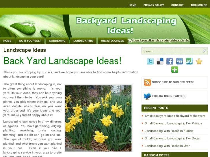 www.backyardlandscapeideas.info