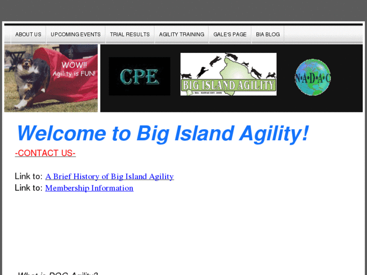 www.bigislandagility.com