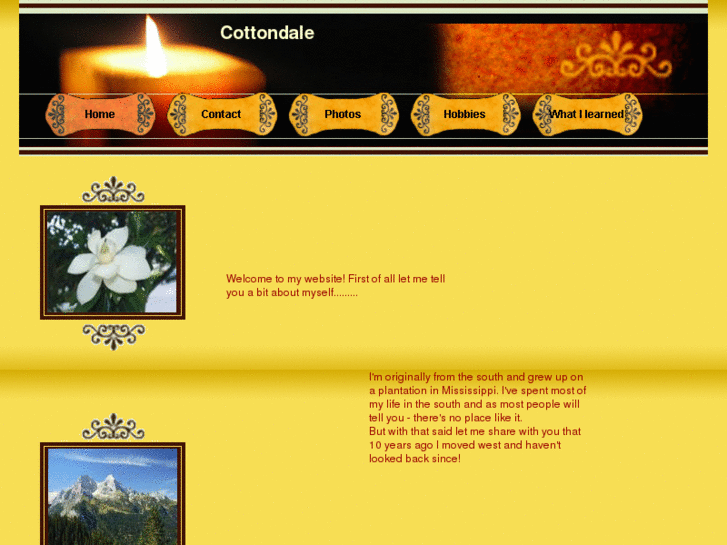 www.cottondalesouth.com